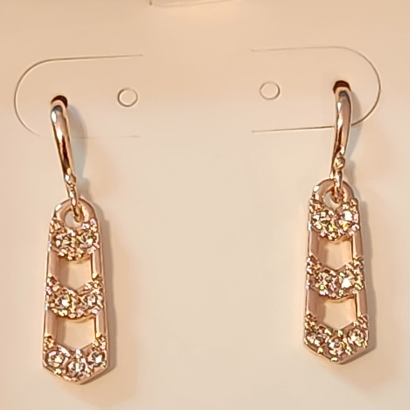Touchstone Crystal Jewelry - Rose gold earrings from Touchstone Crystal by Swarovski